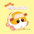 PUI PUIモルカー